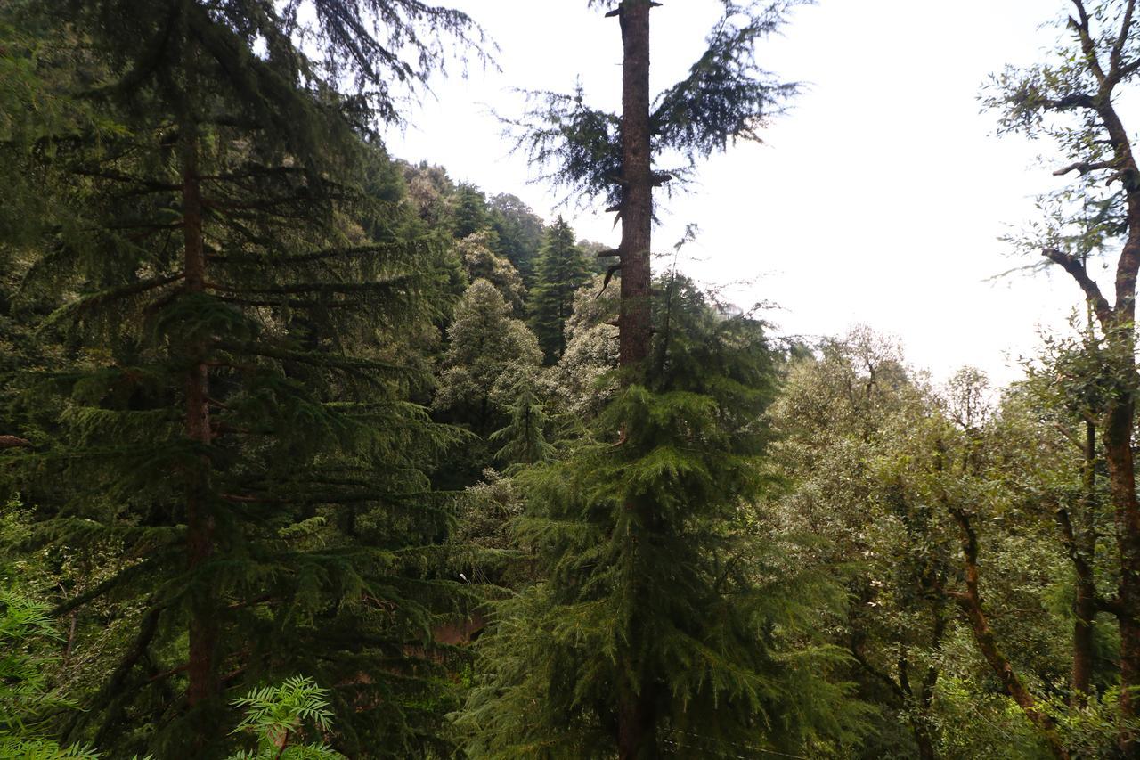 Vilasa Lall Ji Resort Dalhousie Buitenkant foto